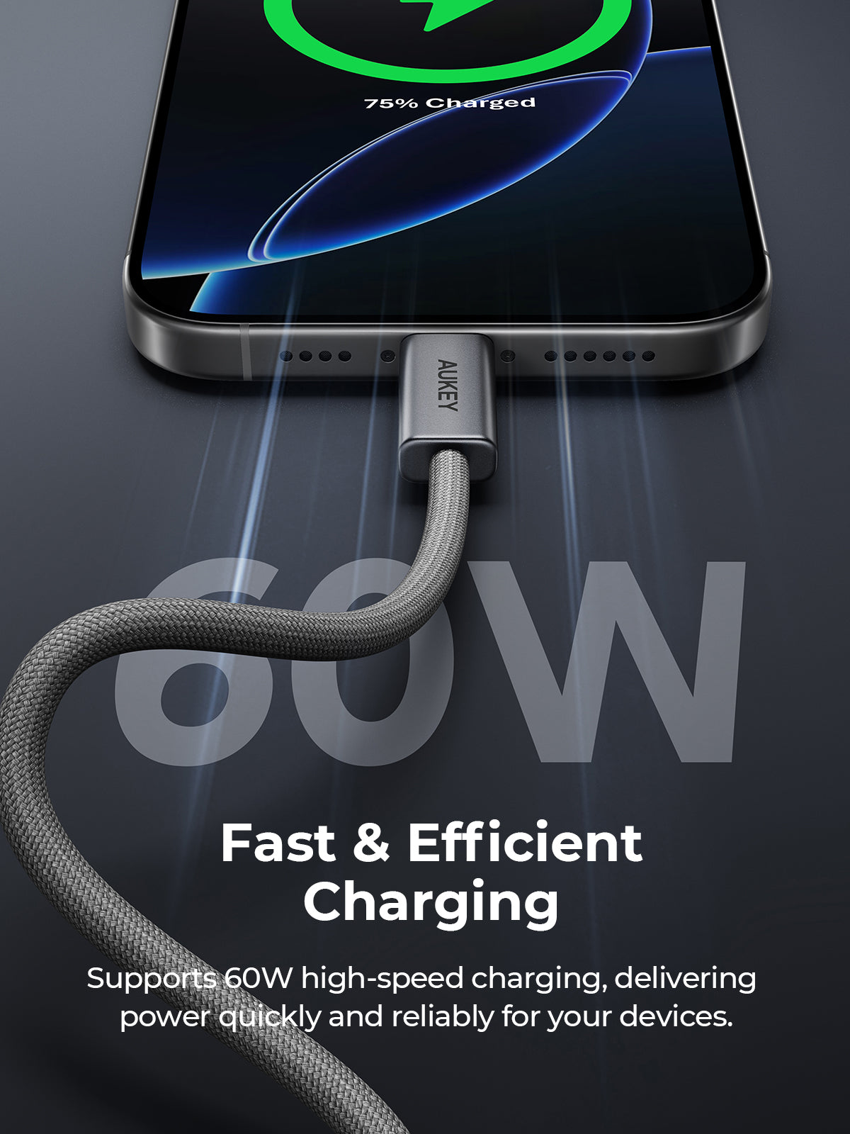 AUKEY CB-DCC061 Circlet Blink 60W 1m DTY Braided USB-C to USB-C Cable